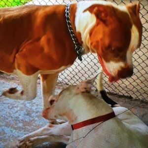 Meet your Posher, Quadavius